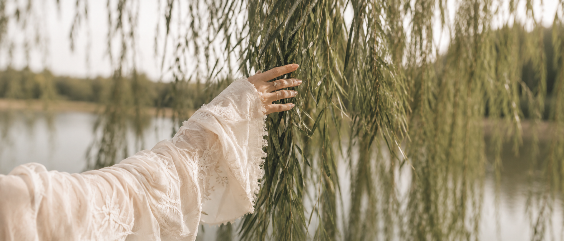 A hand gently touching willow branches beside still water